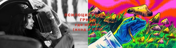 ПСИЛОЦИБИНОВЫЕ ГРИБЫ Покровск