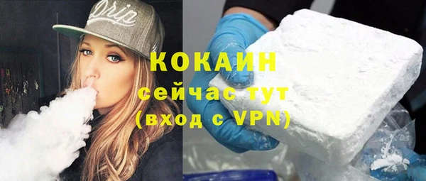 ГАЛЛЮЦИНОГЕННЫЕ ГРИБЫ Белокуриха