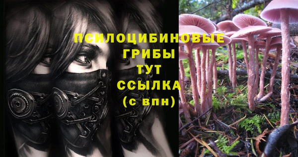 a pvp Богородск