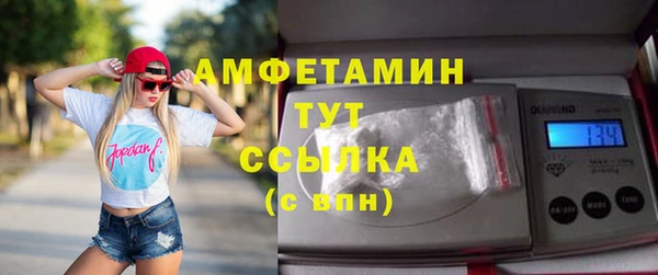 дживик Богородицк