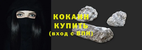 дживик Богородицк