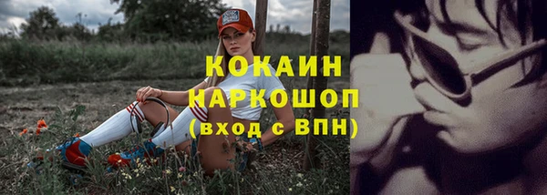 дживик Богородицк