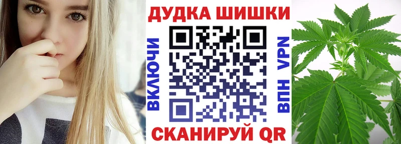 kraken как зайти  Болотное  Конопля сатива 